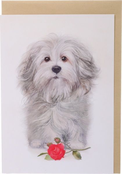 Листівка FZ001