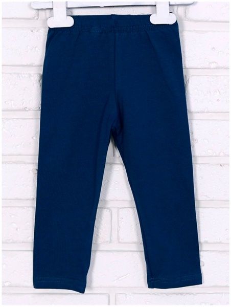 Штанишки Татошка 181335синий р.104 синий 