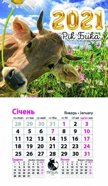 Календар «Магніт (20 видів) на 2021 год» 9786177308224