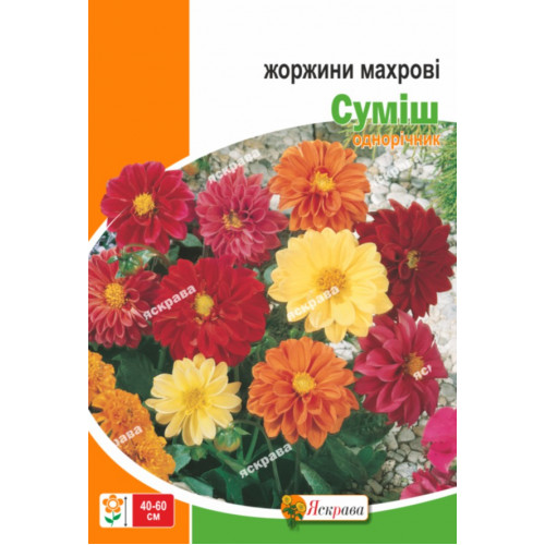 Семена Яскрава георгина махровая смесь