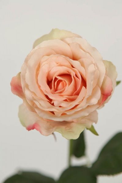 Рослина штучна троянда Мілан лососева 27435HN