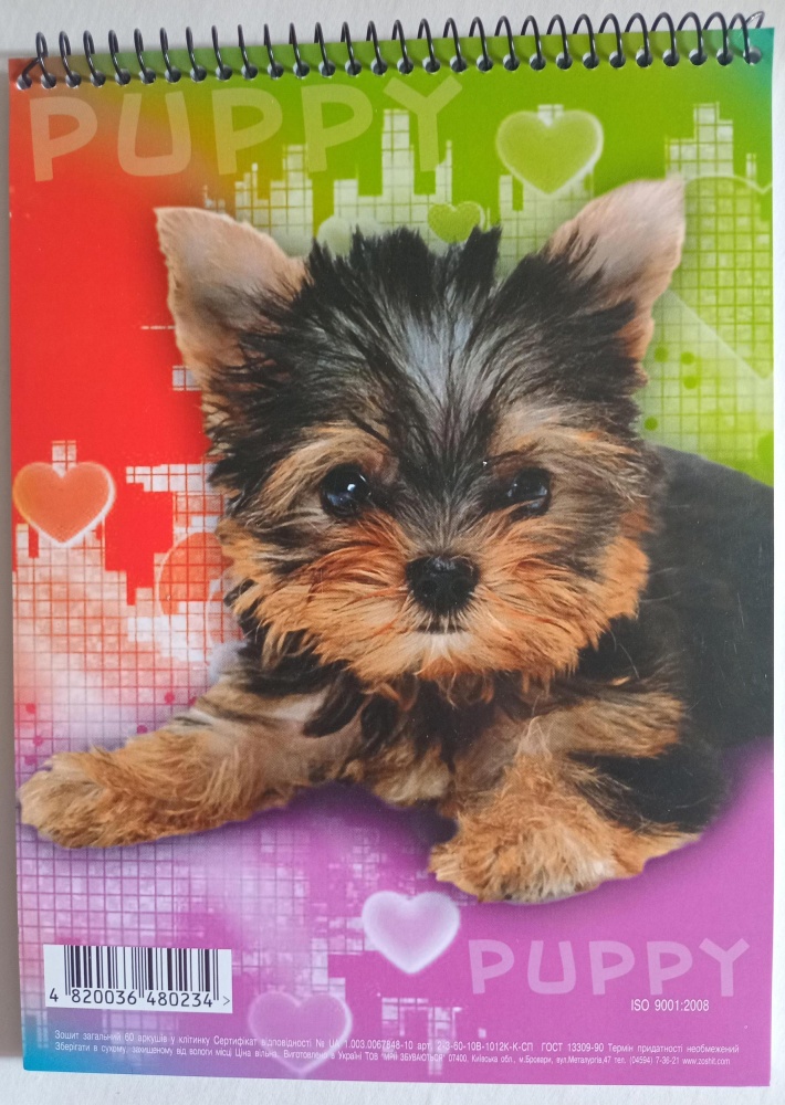 Зошит загальний А5 60 арк на спіралі