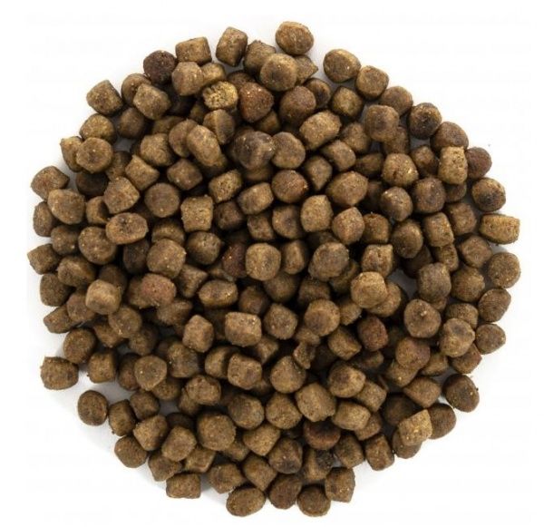 Корм Brit Care GF Kitten курка та індичка 400 г 171279