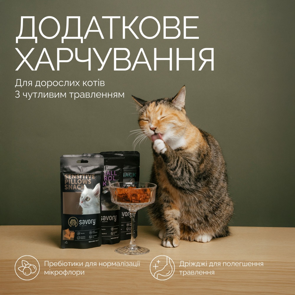 Лакомство для котов Savory с чувствительным пищеварением 60 г