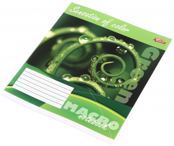 Тетрадь школьная 36 листов в линейку в ассортименте Мечты сбываются