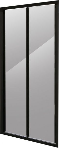 Душевые двери Bravat Black Line 100х200 см