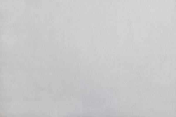 Обои виниловые на флизелиновой основе Vinil Колибри ДХН-1430/4 1,06x10,05 м 