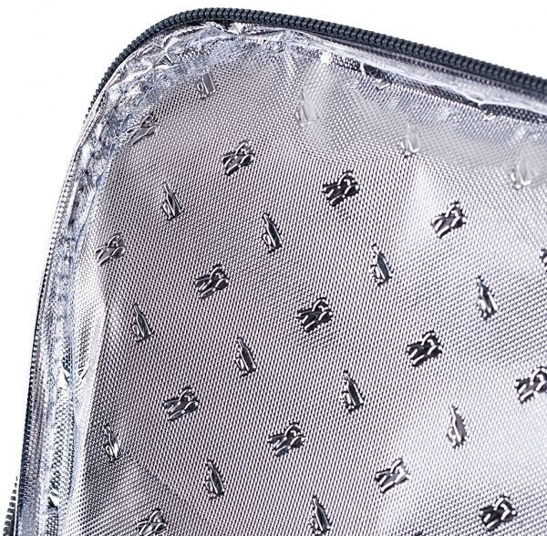 Сумка ізотермічна Thermo + 2 акумулятори холоду IBS-10 Style 10