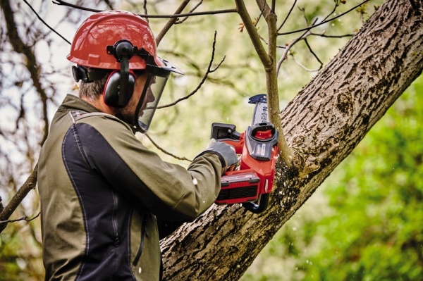 Пила мини аккумуляторная Einhell FORTEXXA 18/20 TH 4600020