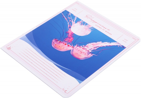 Тетрадь школьная Tadward коса