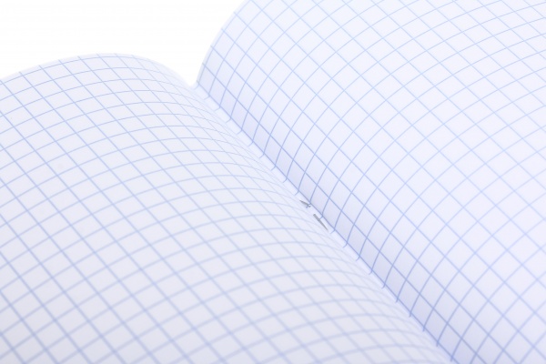 Тетрадь общий тематический 48 листов в ассортименте Мечты сбываются