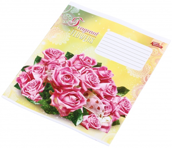 Зошит шкільний 24 аркуша у клітинку в асортименті Мрії збуваються