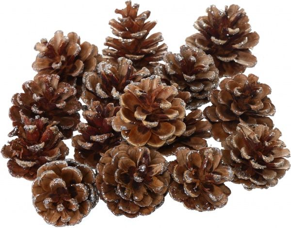 Набор шишек натуральные серебристые E5156411-7S  