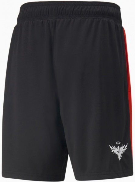 Шорти Puma ONE OF ONE FLARE SHORT 53511201 р. M чорний
