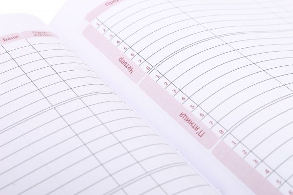 Щоденник шкільний Satin 165х210 мм 48 аркушів фіолетовий Cool For School