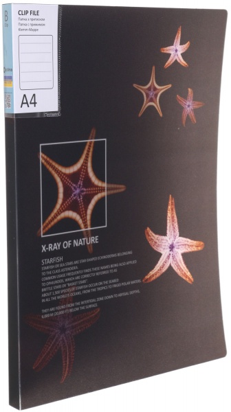 Папка с боковым прижимом Калейдоскоп в ассортименте Optima