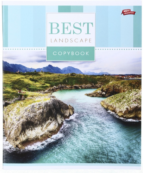 Тетрадь школьная 96 листов в клеточку в ассортименте Мечты сбываются