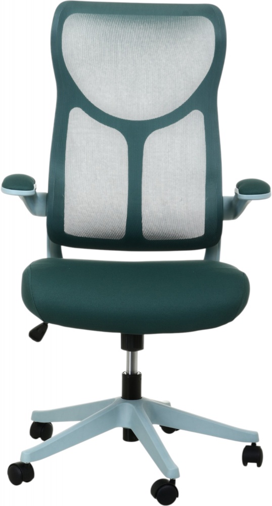 Кресло офисное Центр Меблів Магнум YF-9035 зеленый