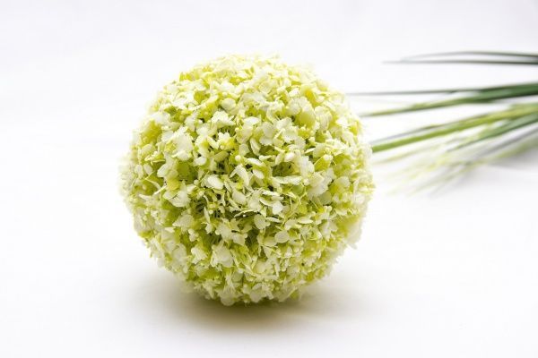 Рослина штучна Лук Маклеана,108 см, білий