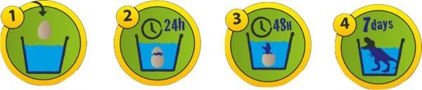 Зростаюча іграшка SES Діно в яйці в асортименті 25063S