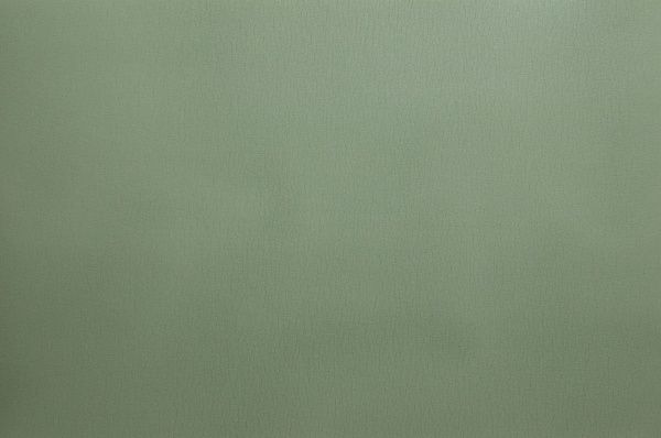 Мат гімнастичний Verdani 150x100x02,Тра см зелений