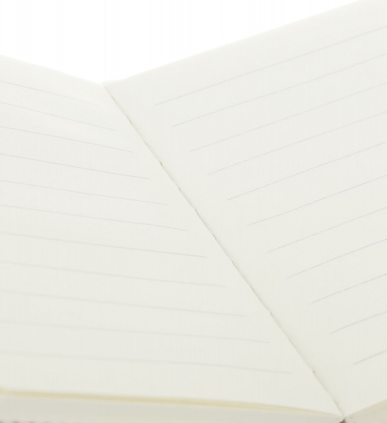 Книга для записей Геометрия 2 А7 96 листов