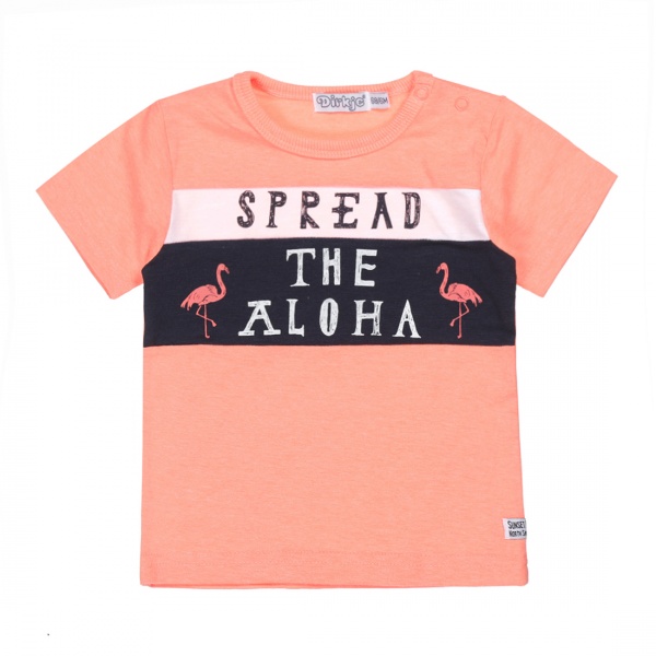 Футболка для хлопчиків Dirkje р.110 яскраво-рожевий V42524-35 