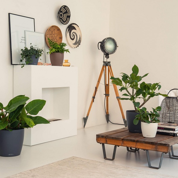 Вазон пластиковый Lechuza CLASSICO Color 18 круглый 2,5л серый (13263) 