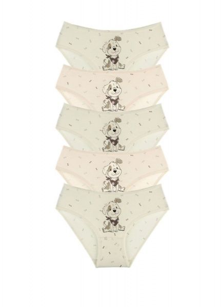 Трусы для девочки Donella 41825FU р.110-116 в ассортименте 