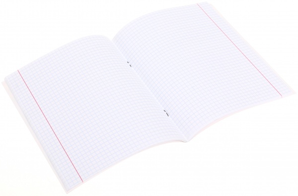 Тетрадь школьная с глитером 48 листов в клеточку в ассортименте Мечты сбываются