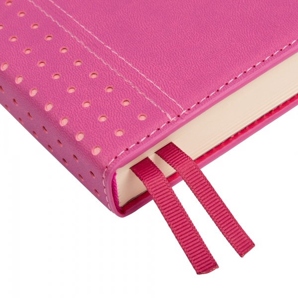 Щоденник датований сливовий 352 стор. Leo Planner Destiny A6 2024