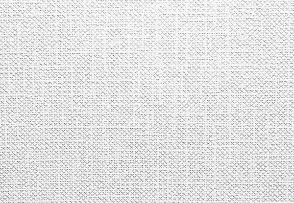 Шпалери під фарбування Vinil C-122 1,06x25 м 