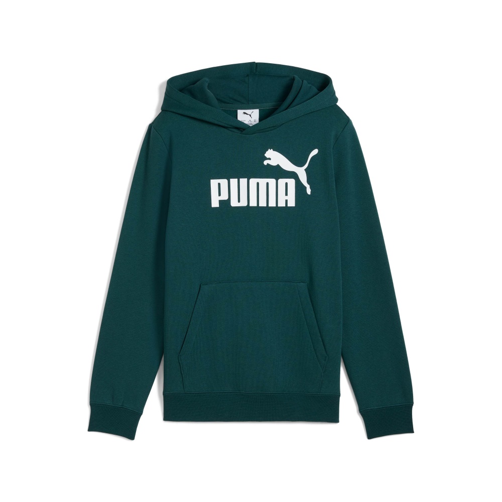 Джемпер Puma ESS No. 1 Logo Hoodie FL B 68490875 зелений