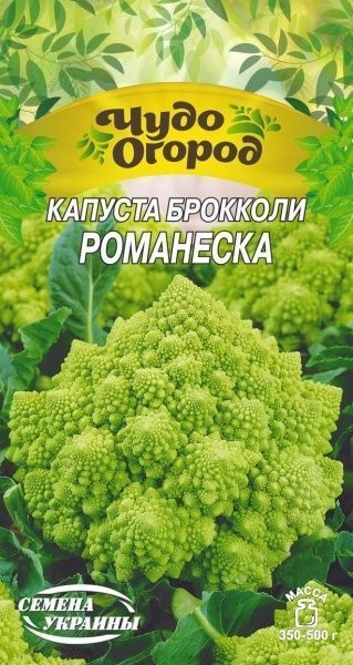 Насіння Семена Украины капуста броколі Романеска 662300 0,5г