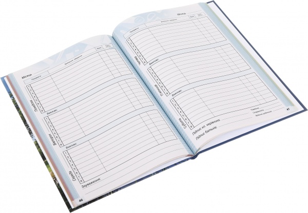 Щоденник 741 7БЦ матова ламінація 165х240 мм 40 аркушів Mandarin