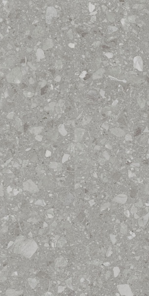 Плитка Allore Group Terra Grey F P R Mat (51,84) 60x120x8 