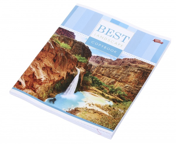 Тетрадь школьная 96 листов в клеточку в ассортименте Мечты сбываются