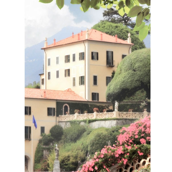 Декор Golden Tile Troyanda Sorrento №5 60Б351 250х330 мм