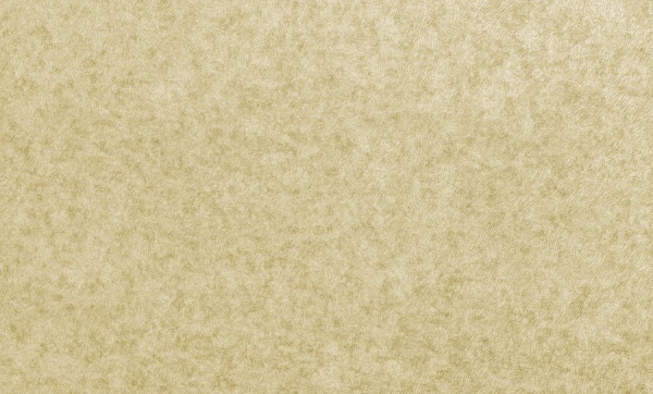 Обои виниловые на флизелиновой основе MEGAPOLIS 9155-26 1,06x10,05 м 