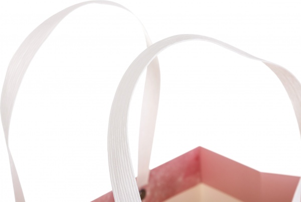 Пакет бумажный 24x31x13 см YST831-7T(Blue)