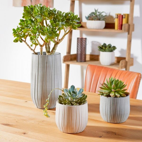 Кашпо керамічне Soendgen Ronda круглий зелений (4006063304464) 