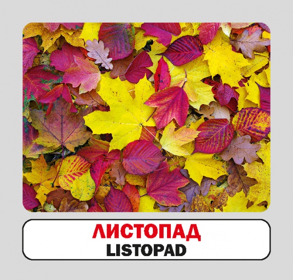 Книга «Пори року / Sezony. Набір карток» 9786177686070