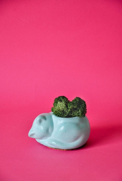 Кашпо декоративне Murrkos бірюзовий бетон