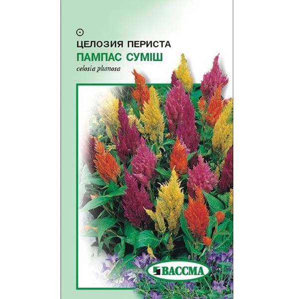 Семена Цветы Целозия перистая Пампас смесь 0.2 г