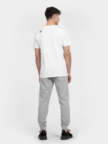 Брюки 4F TROUSERS CAS 4FMM00TTROM311-27M р. XS серый