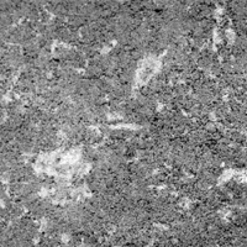 Тротуарная плитка Золотой Мандарин Барселона 186х60х45 серая