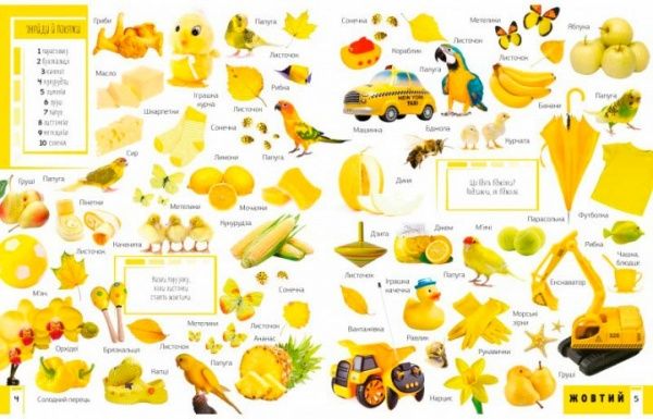 Книга Мария Жученко «Книга 500 перших слів Вивчаємо кольори розвиваємо увагу» 978-617-690-927-9