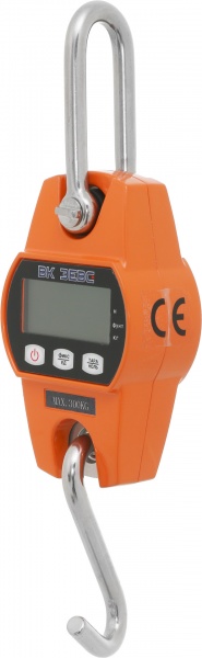 Весы крановые ЗЕВС ВК I 300 кг 