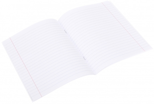 Тетрадь школьная Dinosaur 12 листов линия Nota Bene