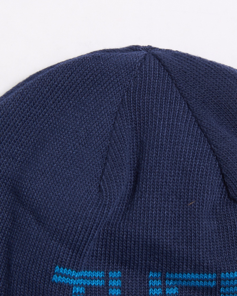 Шапка THE NORTH FACE Reversible Beanie NF0A7WLADIA1 р.OS синий